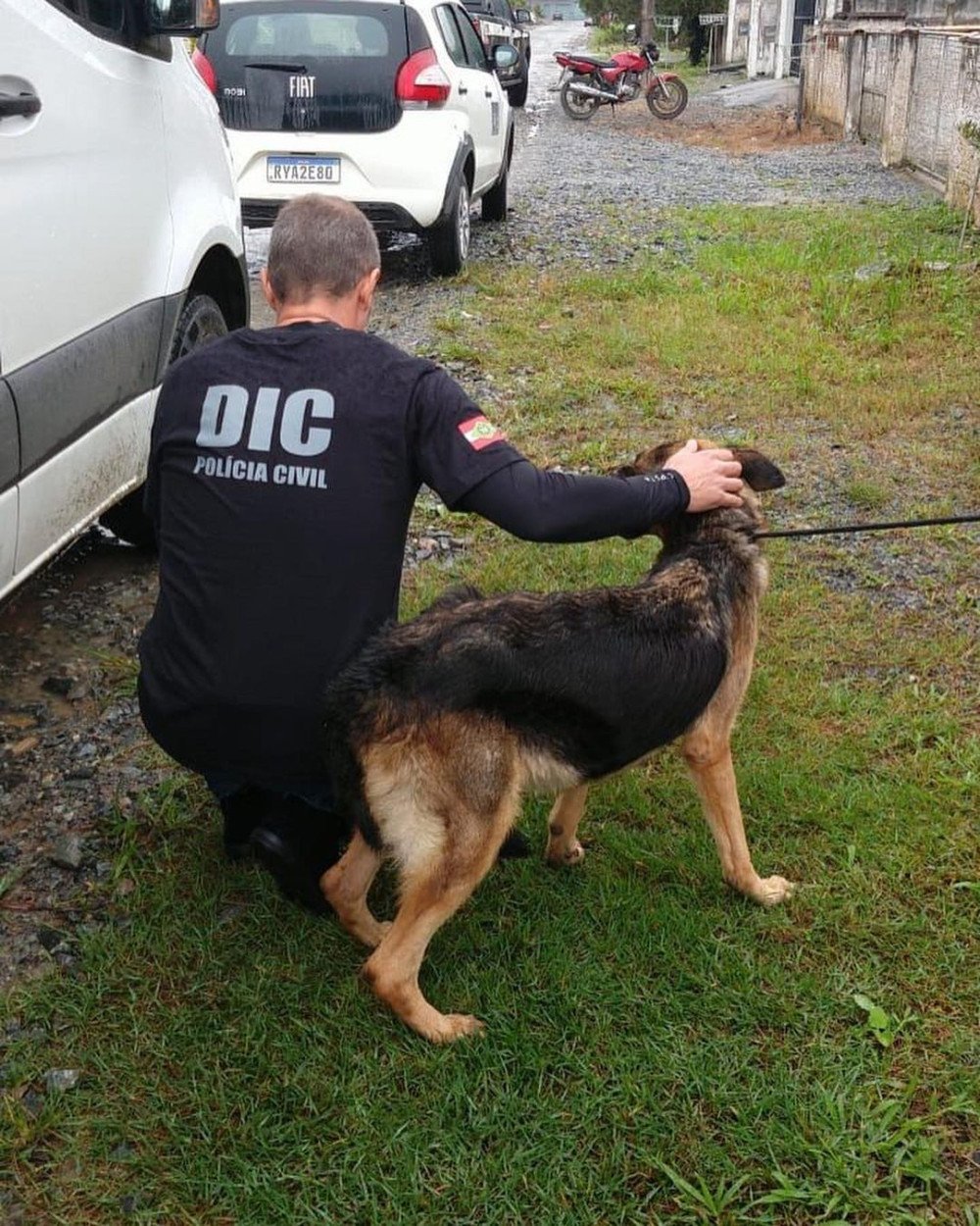 Homem é preso por maus-tratos contra cachorros em Joinville