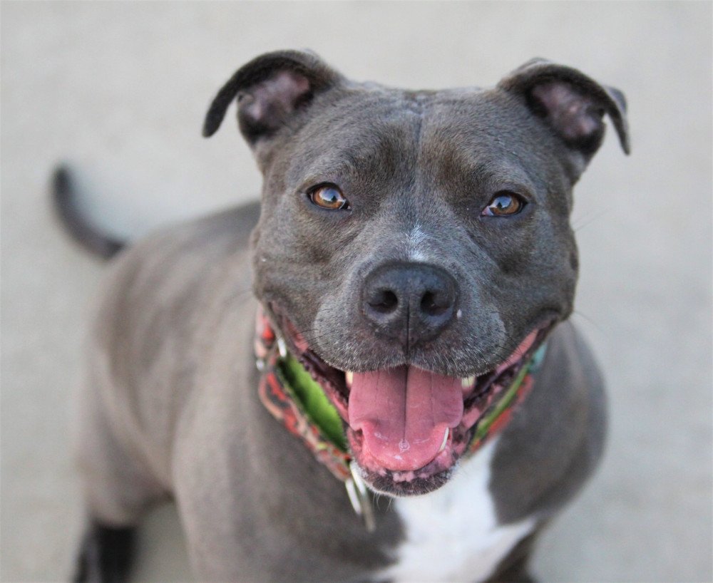 Foto: Reprodução/Internet