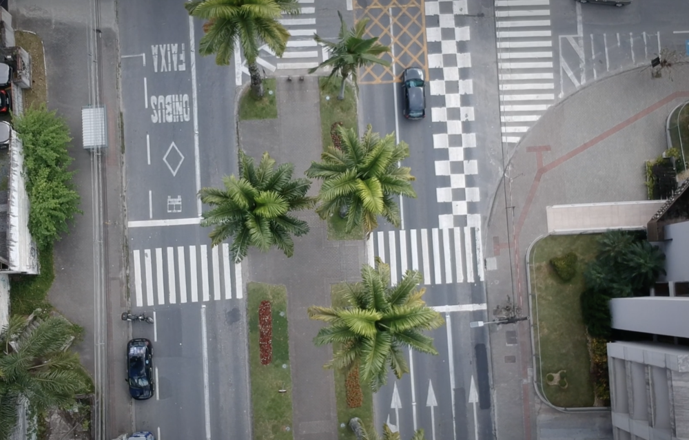 Trânsito na rua das Palmeiras em Blumenau será interditado durante evento no fim de semana