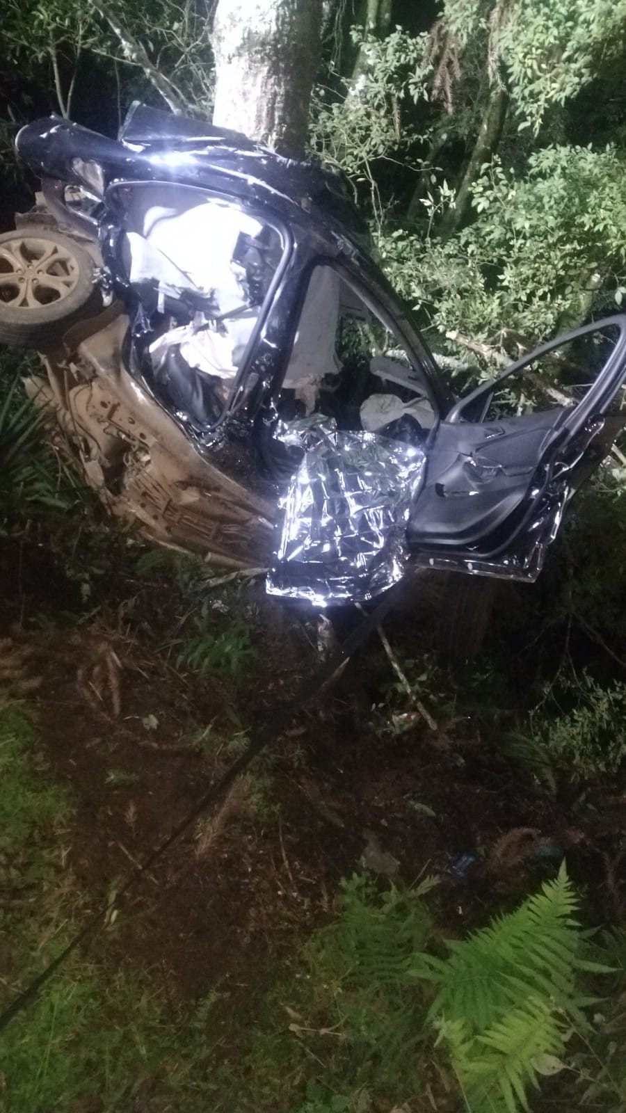 Saída de pista seguida de batida em árvore deixa três pessoas mortas e outras duas em estado grave em SC