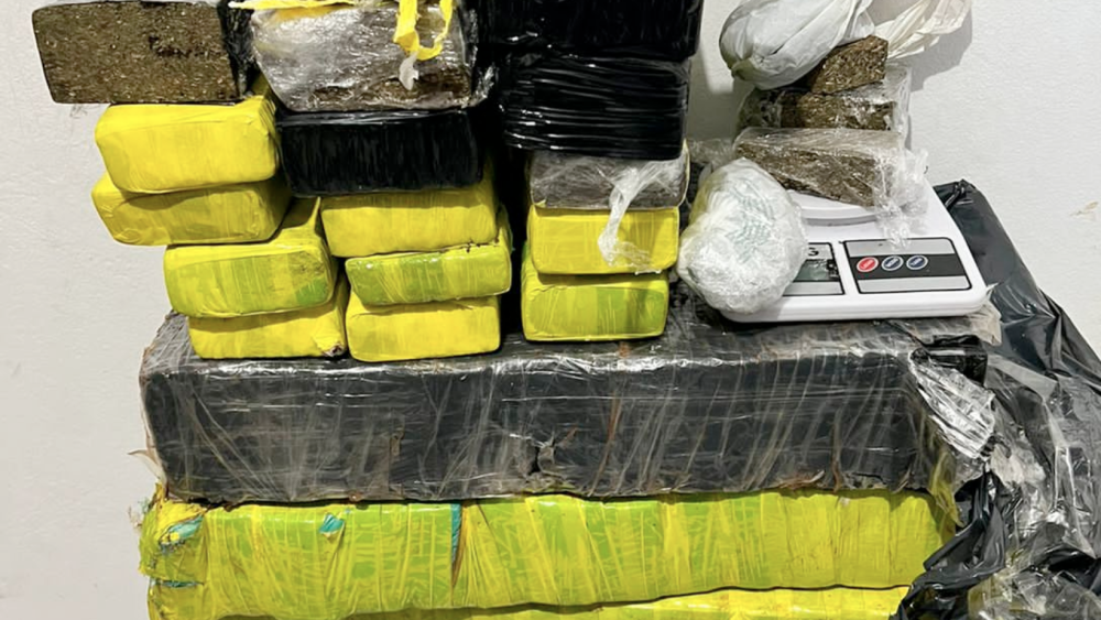 Polícia Civil de Blumenau prende homem e apreende 90kg de maconha em operação no bairro Passo Manso