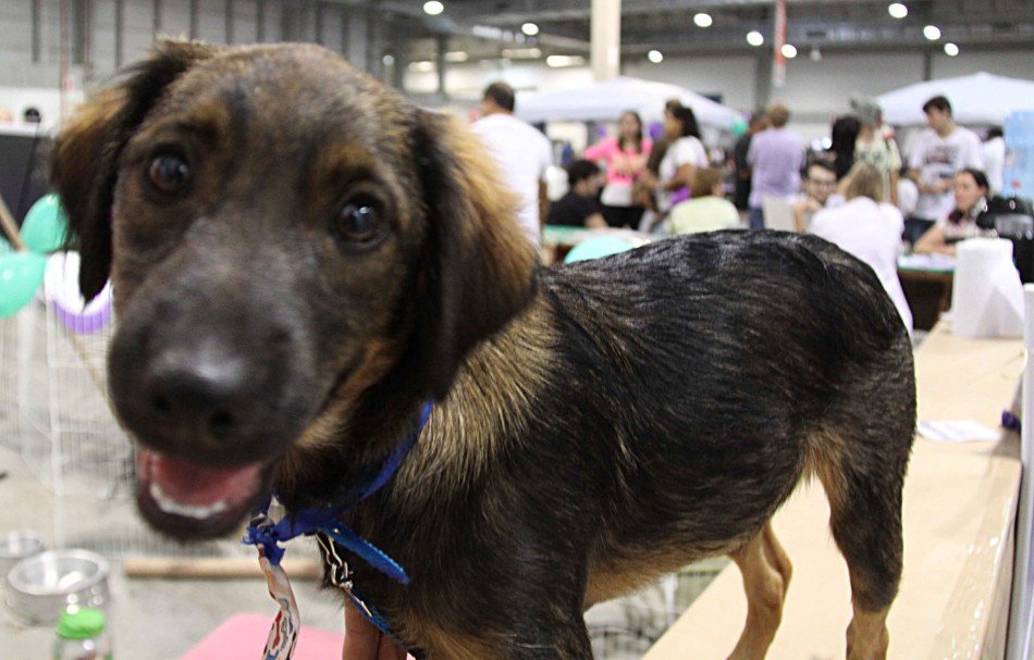 Foto: Marcelo Martins