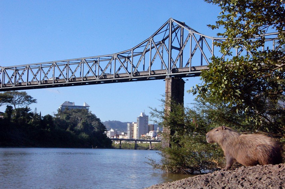 Ponte de ferro de Blumenau ficará temporariamente interditada neste sábado