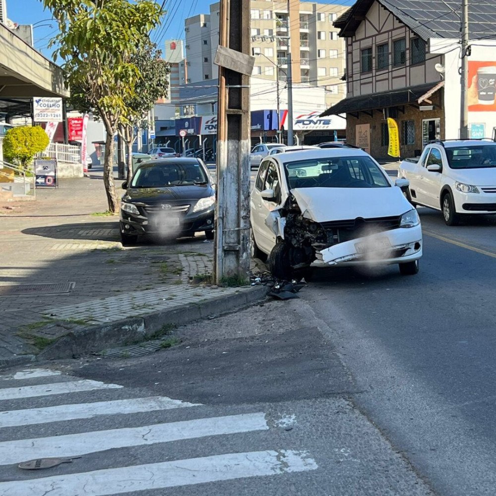 Motorista olha para banco de trás para socorrer cachorro, perde controle do carro e bate em poste; acidente aconteceu em Blumenau