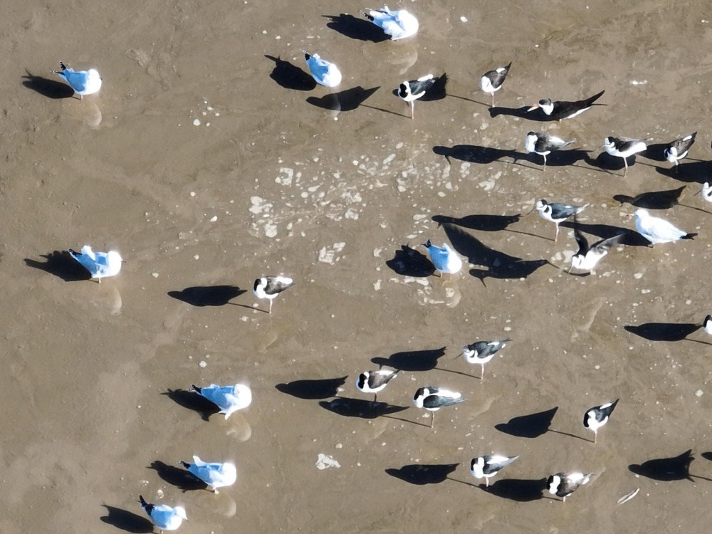 Foto: Divulgação/ Cidasc