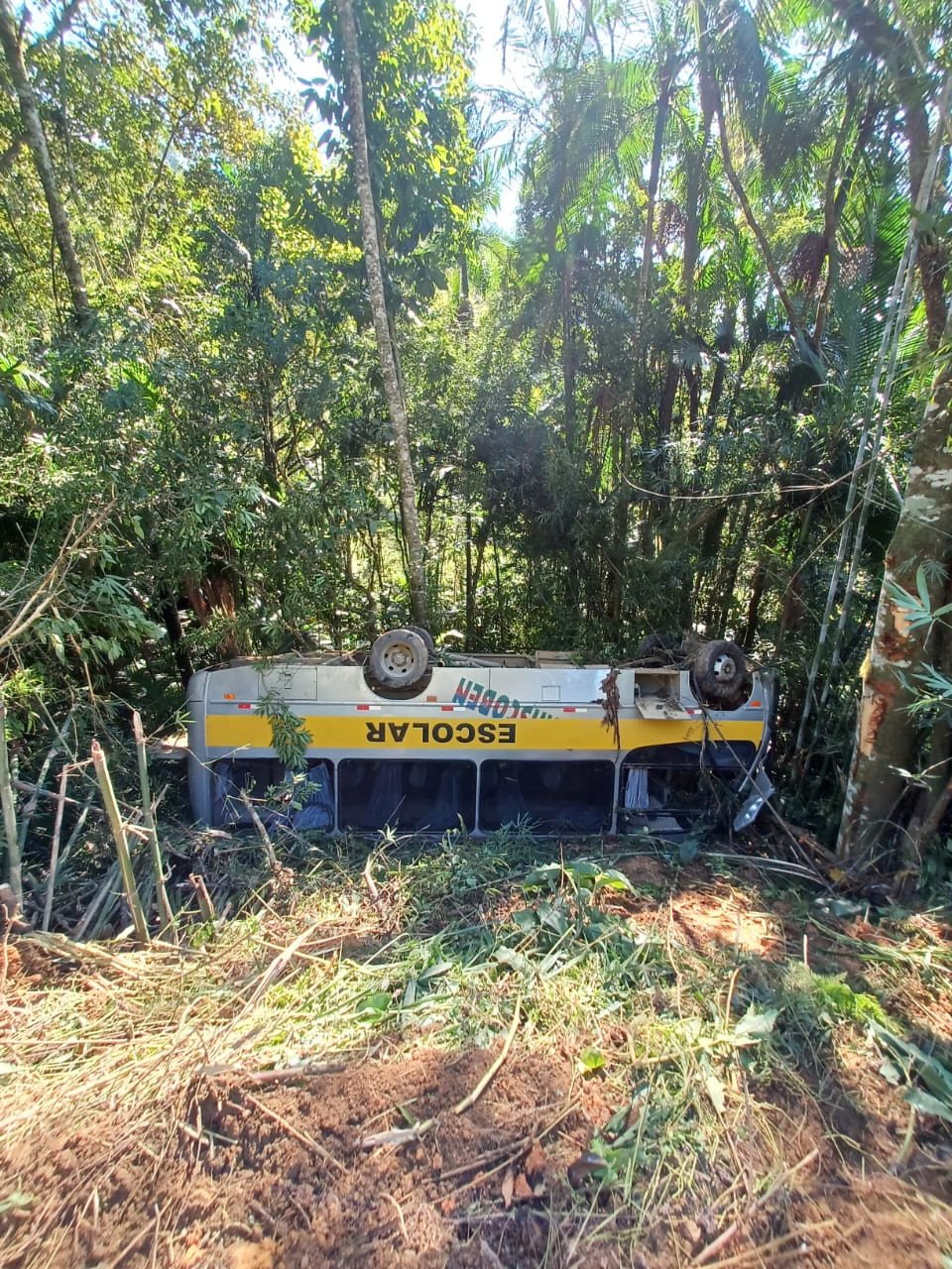 Van escolar capota em ribanceira em Benedito Novo