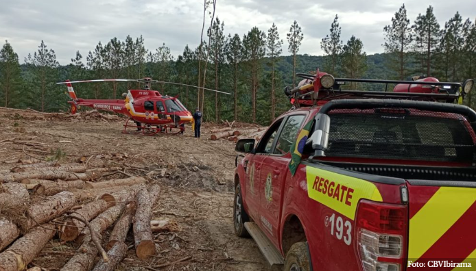 Homem morre após ser atingido por tronco de árvore em Ibirama