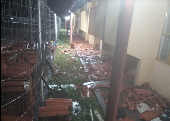 Temporal derruba árvores e destelha casas no Oeste de Santa Catarina