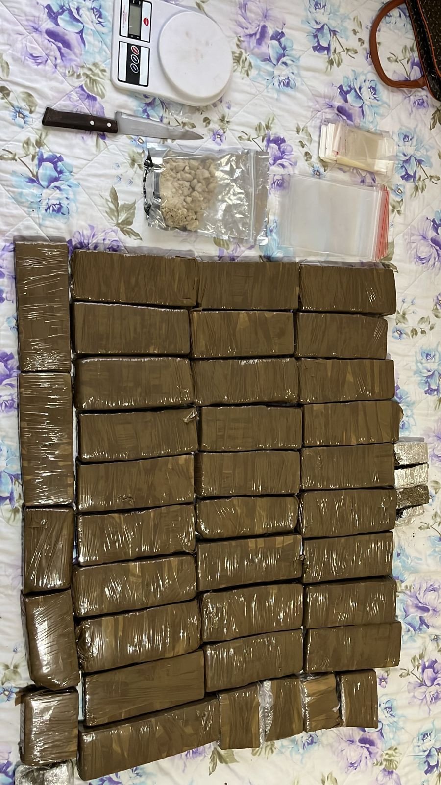 Casal que usava rede social para vender drogas é preso em Blumenau; delegado da DIC detalha o caso