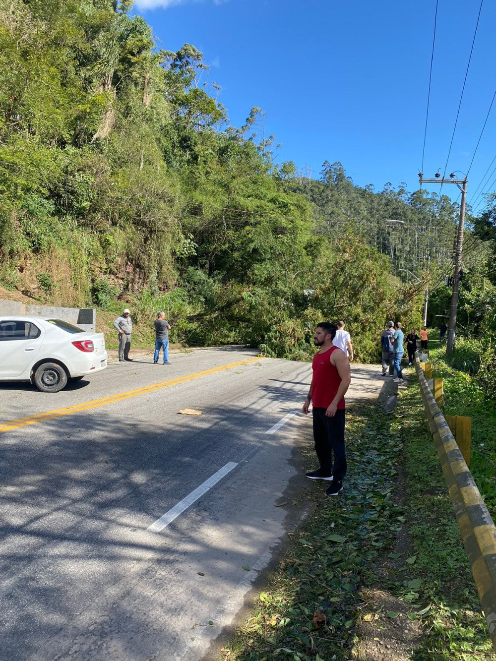 Queda de árvore na Rua Itajaí, em Blumenau, deixa trânsito interrompido
