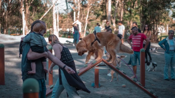 Espaço para animais é inaugurado em Timbó; conheça as regras para participar