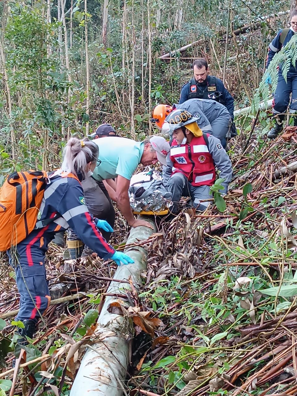 Árvore cai e atinge trabalhador no Alto Vale do Itajaí; Arcanjo é acionado
