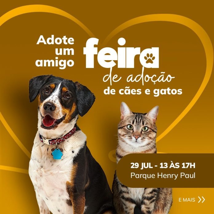 Feira de adoção de cães e gatos, em Timbó, acontece neste sábado