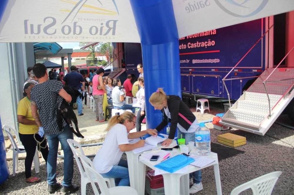 Aberto pré-cadastro para mutirão de castração de animais em Rio do Sul; três ações acontecem neste mês