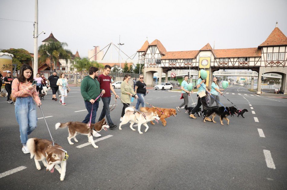 Inscrições para Cãominhada de Blumenau encerram nesta sexta-feira