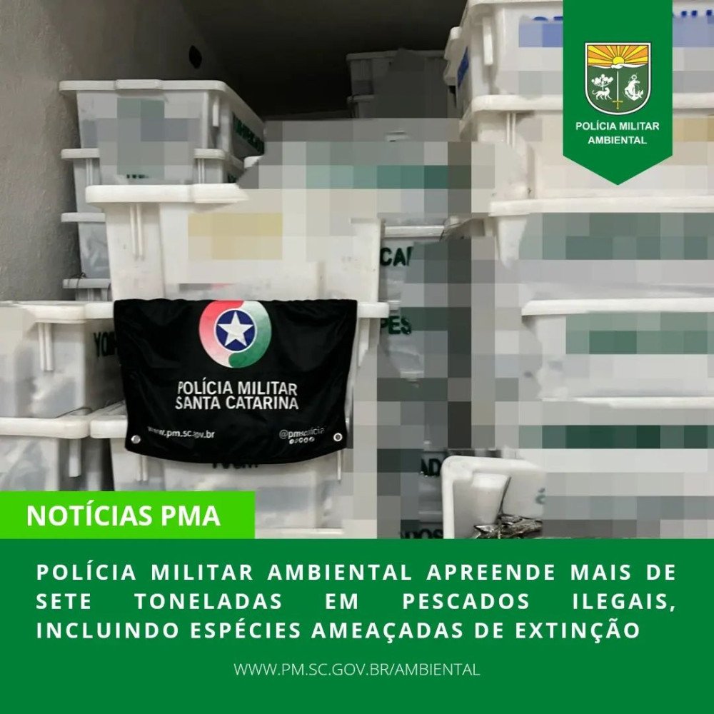 Polícia Militar Ambiental apreende mais de 7 toneladas de pescado; peixes foram doados