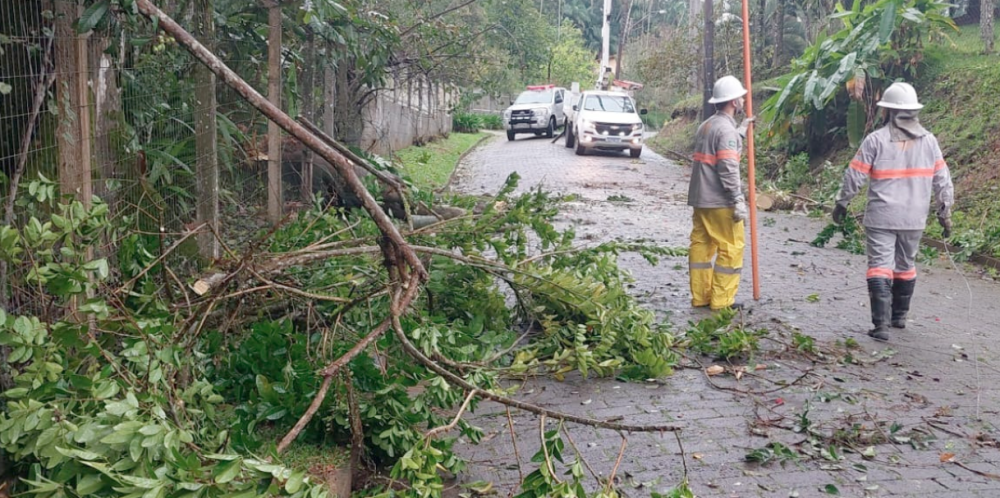 Ventos de mais de 54 km/h causam transtornos e quedas de árvores em Blumenau