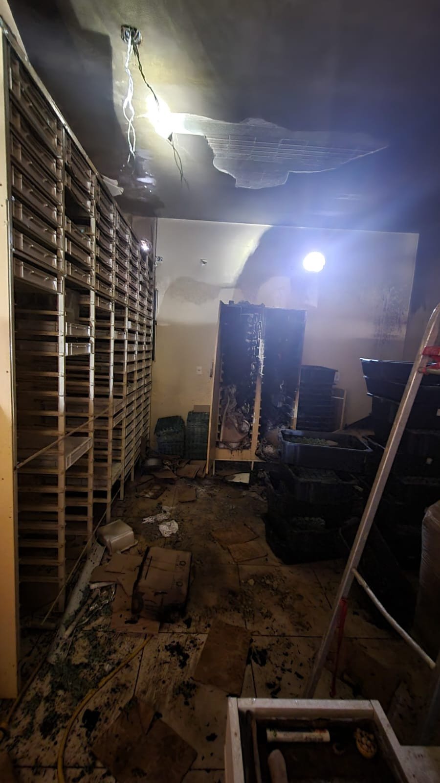 Quarto utilizado para criação de insetos pega fogo em Brusque