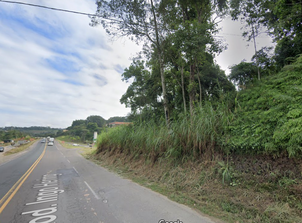 Corte de árvores altera trânsito na BR-470 em Blumenau