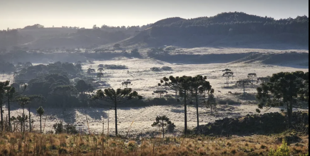 SC deverá continuar com temperaturas negativas nos próximos dias
