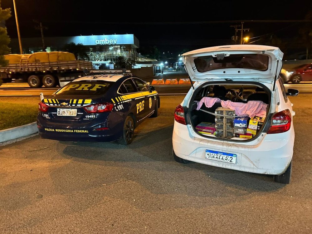 PRF resgata aves silvestres durante fiscalização na BR-470 em Blumenau