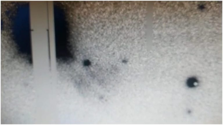 Estudantes de SC descobrem novos asteroides em concurso da NASA; aluna de Indaial faz parte da equipe