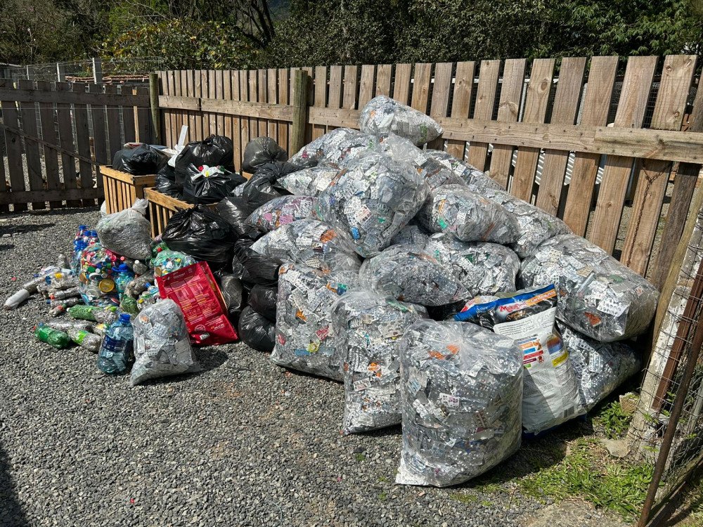 Campanha arrecada mais de 200 kg de cartelas de remédios para a causa animal; veja os pontos de coleta