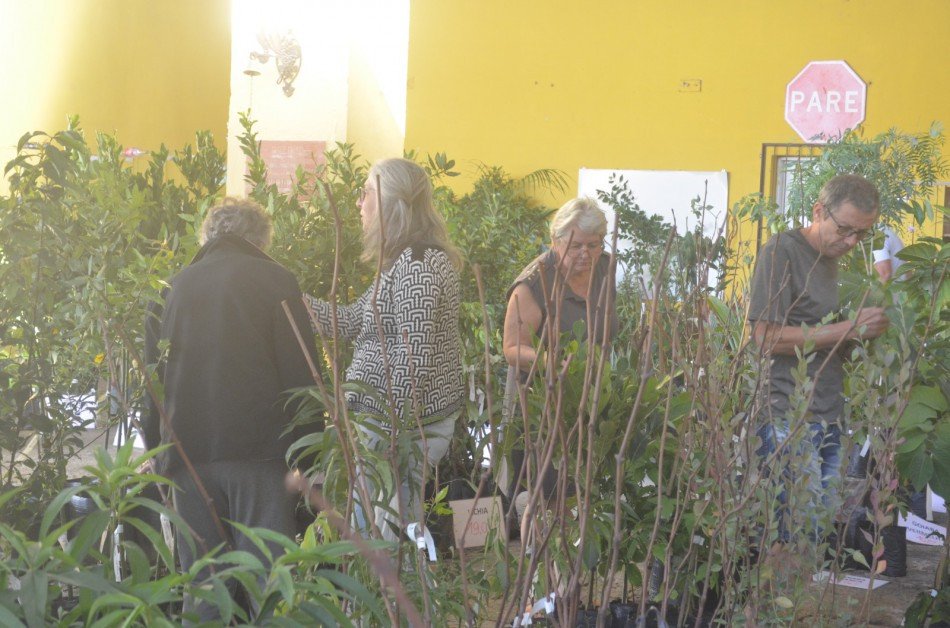 Vila Itoupava recebe feirão de mudas frutíferas e ornamentais
