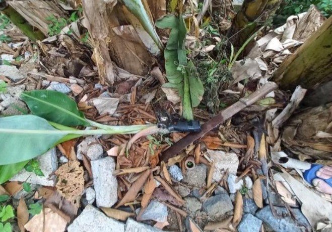 Morador encontra revólver municiado no meio de bananeiras em Blumenau