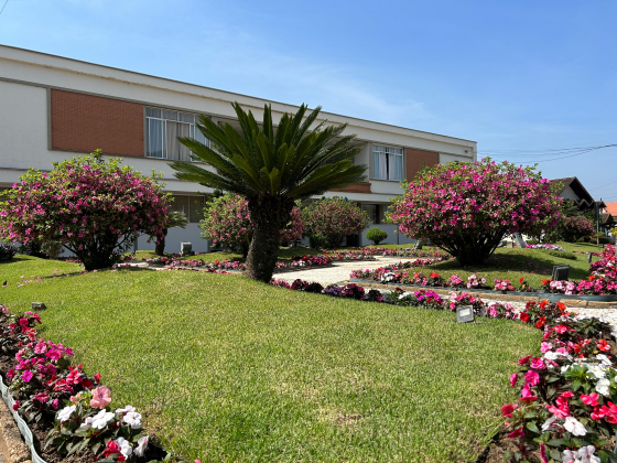 Inscrições para o 17º Concurso de Jardins de Pomerode começa nesta segunda-feira; saiba como participar