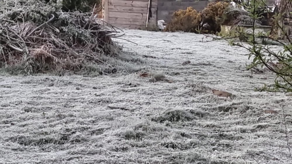 SC amanhece com geada e temperaturas abaixo de zero