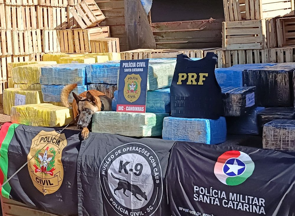 Homem é preso com quase duas toneladas de maconha na BR-280 em Canoinhas