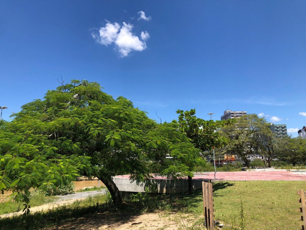 Semana começa com calor intenso em Blumenau; confira a previsão do tempo