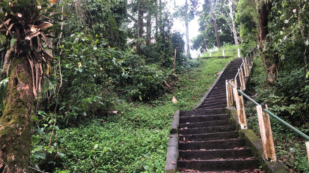 Suspeito de estuprar mulher em plena luz do dia em Blumenau é preso