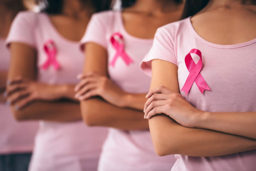 Câmara de Vereadores de Blumenau promove evento alusivo ao Outubro Rosa; saiba mais