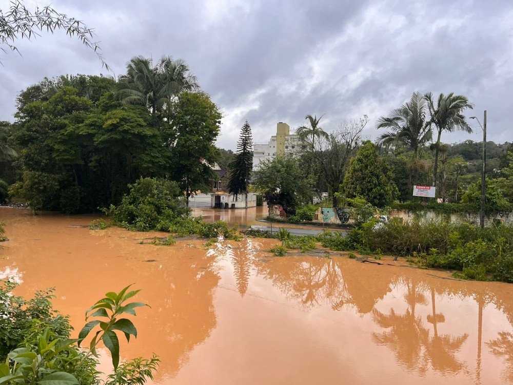 Fotos mostram como estão áreas alagadas em Blumenau nesta quinta-feira
