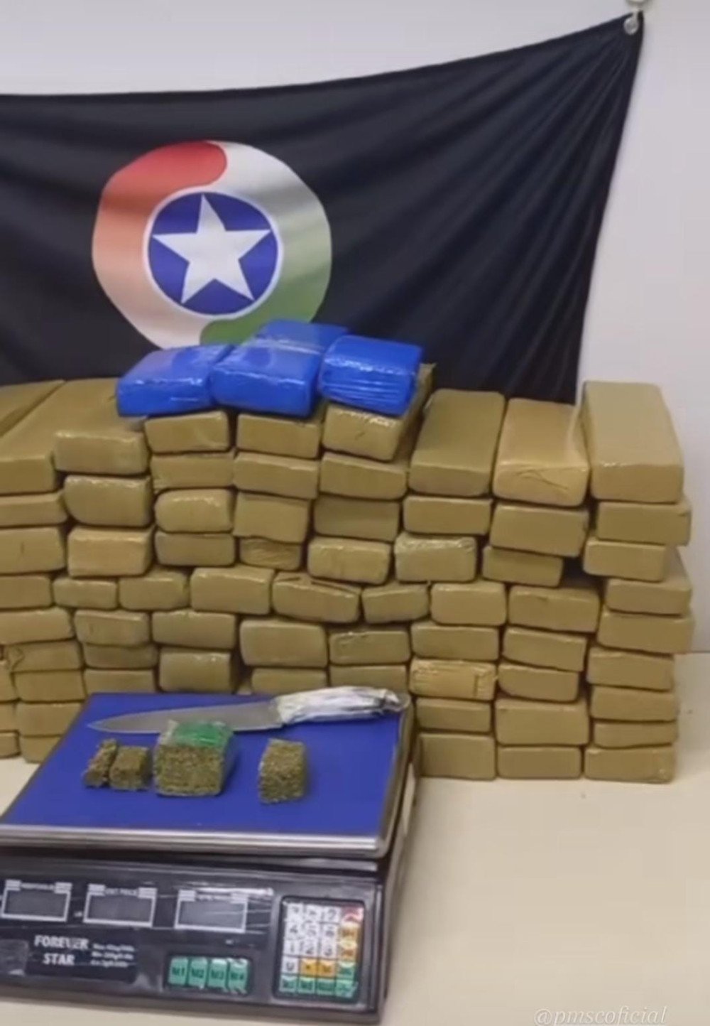 Quase 53 kg de droga são apreendidas em Ilhota; uma pessoa foi presa