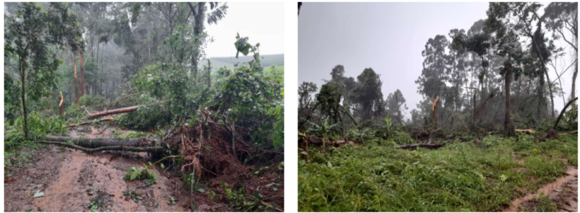 Defesa Civil de Santa Catarina confirma tornado no Oeste do Estado