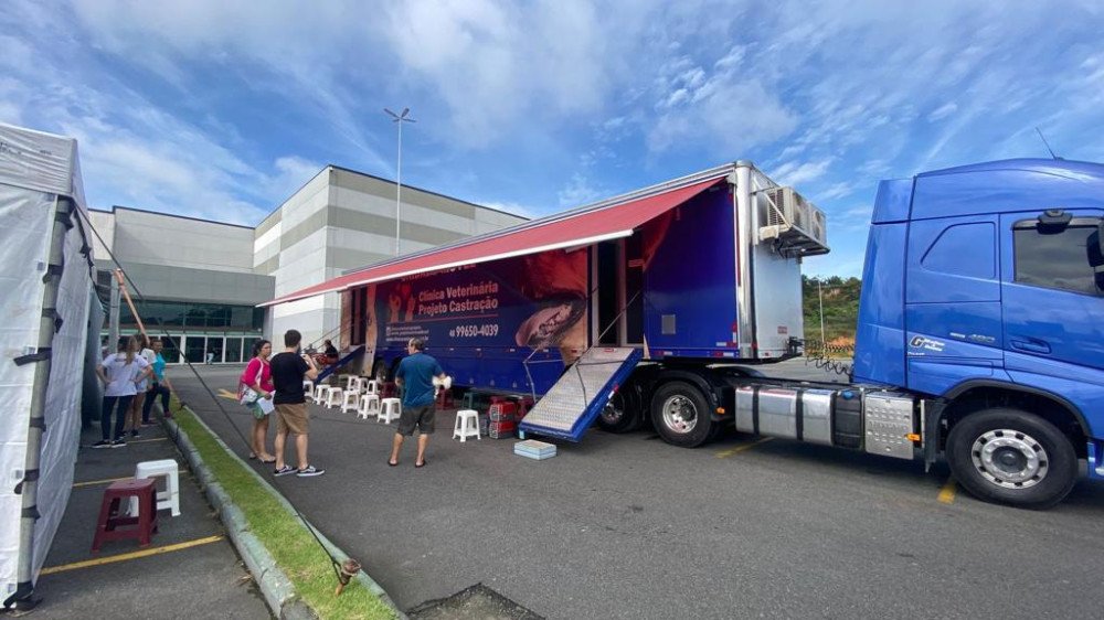 Mutirão de castração de animais acontece neste sábado no Norte Shopping em Blumenau; veja
