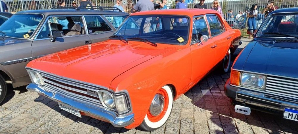 Blumenau vai receber exposição de Opalas; saiba mais