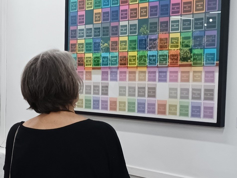 Museu de Arte lança edital para as exposições temporárias de 2024
