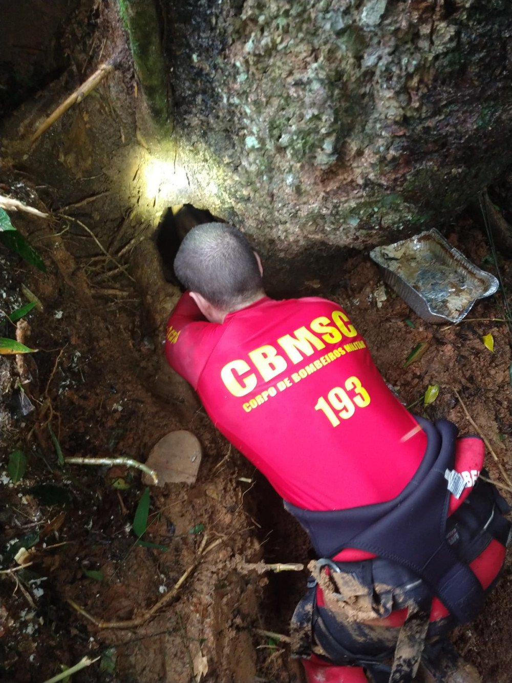 Cachorro que estava preso em buraco há três dias é resgatado pelos bombeiros