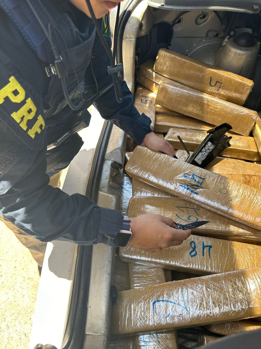 Comboio que transportava 120 quilos de maconha é interceptado pela PRF em SC