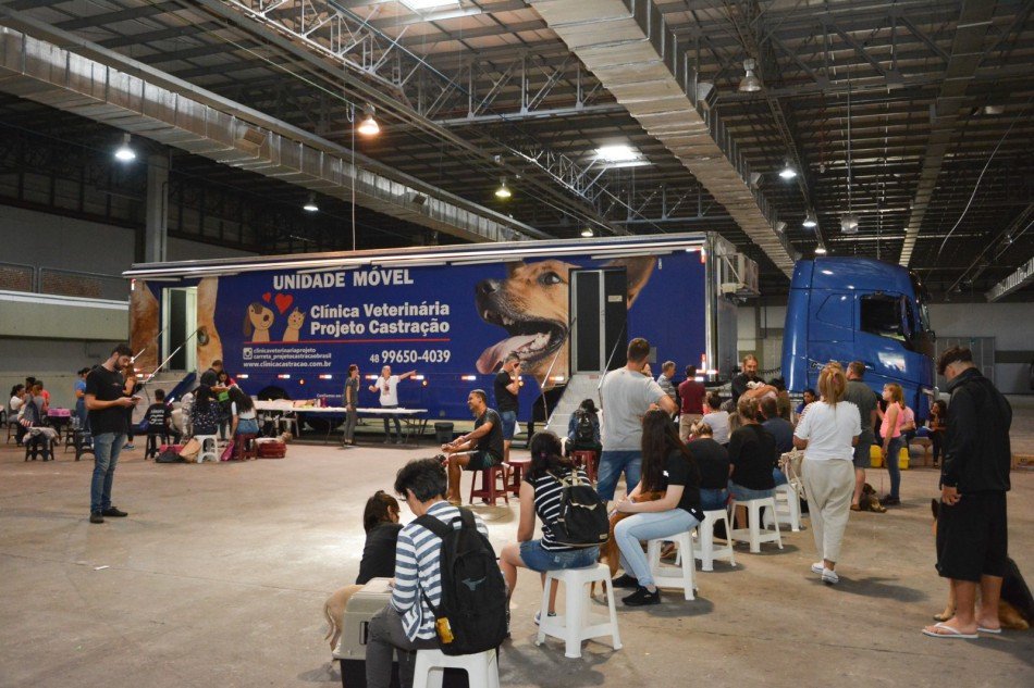 Mutirão de castração gratuita de animais acontece nesta quarta-feira em Blumenau