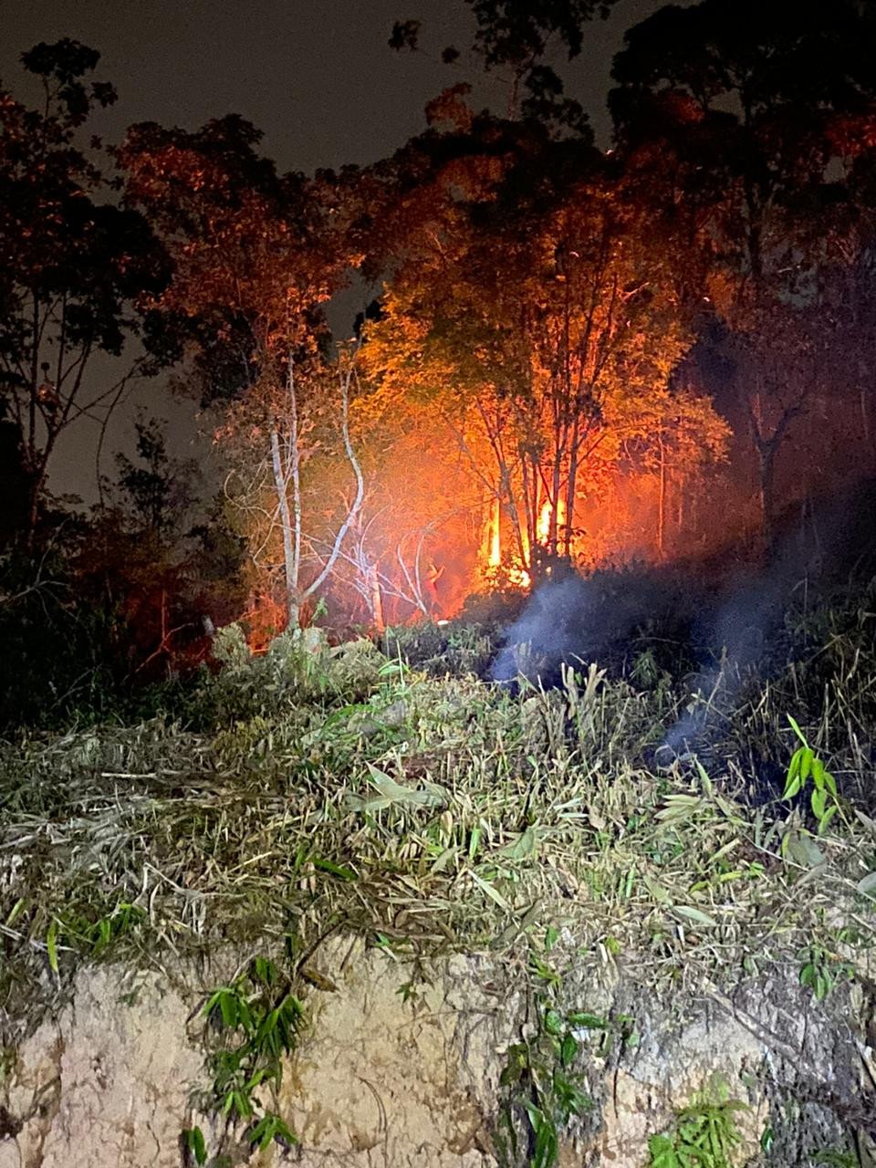 Após três horas, bombeiros conseguem controlar fogo em vegetação em Ilhota