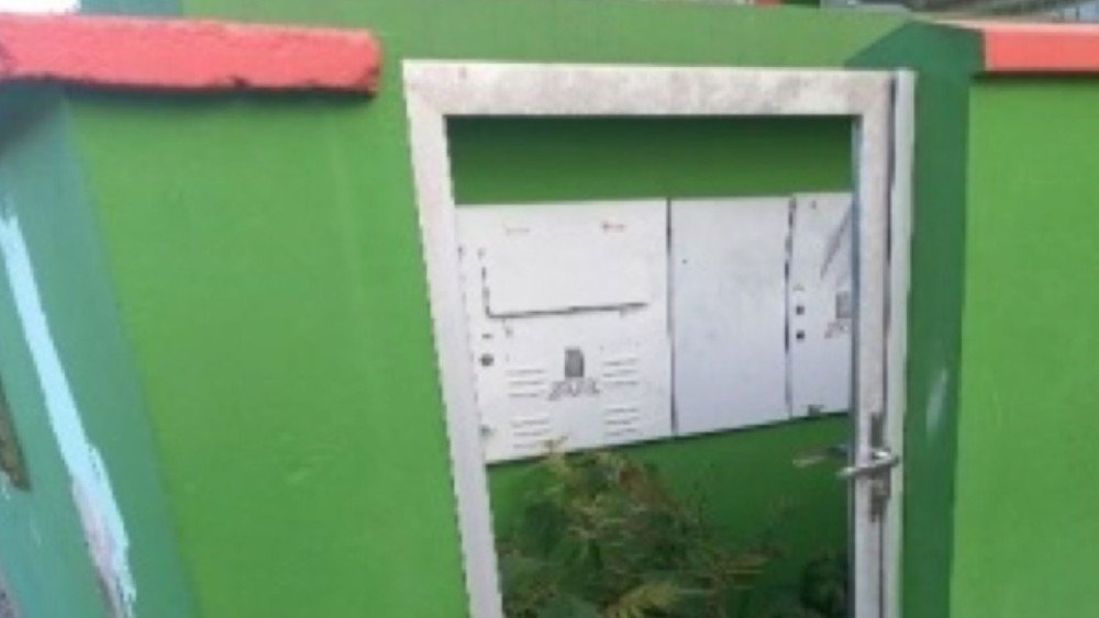 Escola estadual em Blumenau é alvo de furto