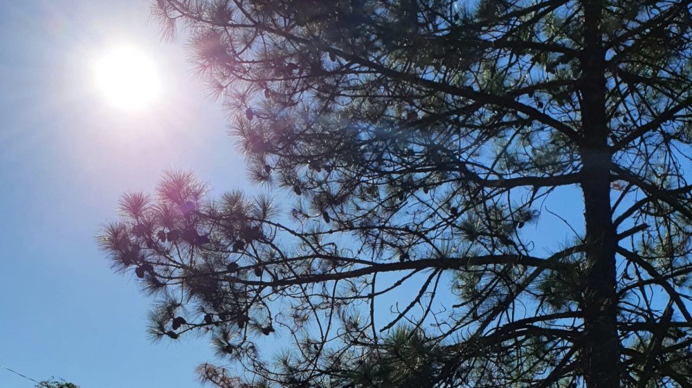 Previsão do tempo: sol e pancadas de chuva nesta quarta-feira em Blumenau