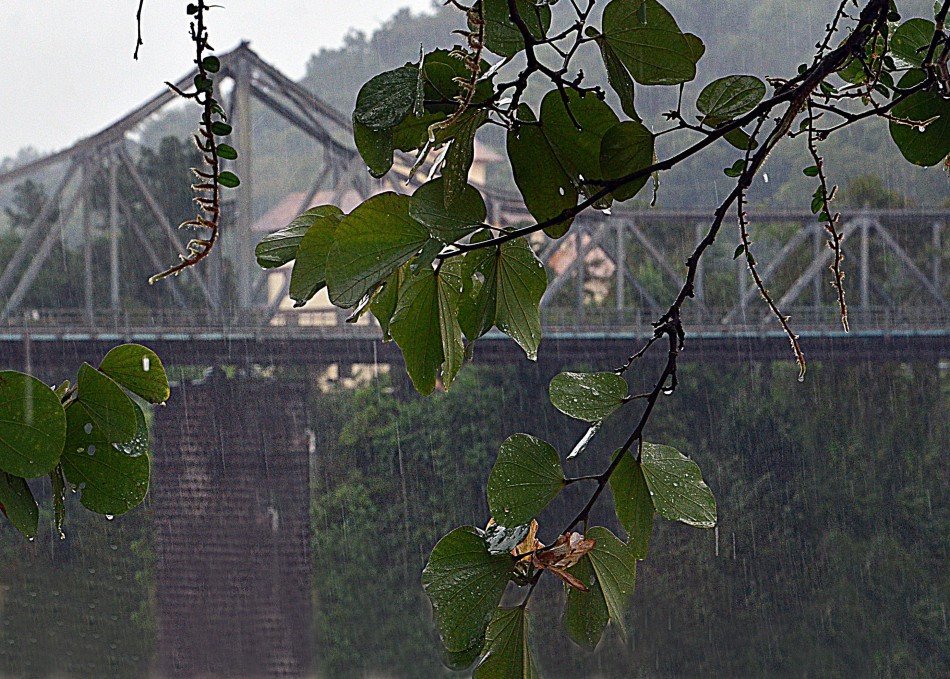 Defesa Civil de Blumenau alerta para possibilidade de temporal com chuva intensa entre esta quarta e quinta-feira
