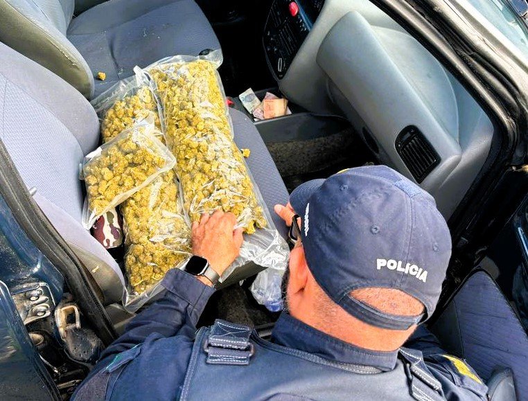 Vídeo: Homem foge de abordagem da PRF mas é preso com maconha na BR-101 em Laguna