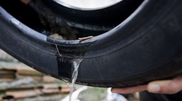Dengue em SC: Inscrições para a semana de mobilização para recolhimento de pneus abrem nesta segunda-feira